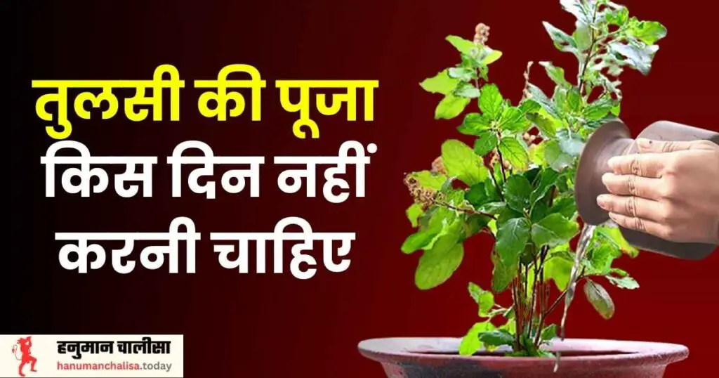 Tulsi Ki Puja Kis Din Nahi Karni Chahiye Photo