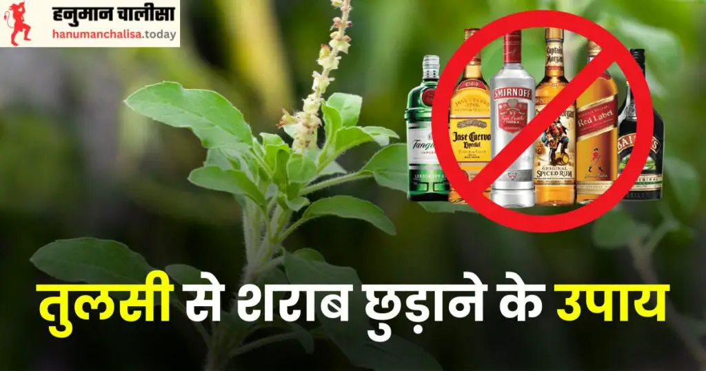 Tulsi Se Sharab Chudane Ka Upay Photo