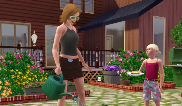 sims 3 game